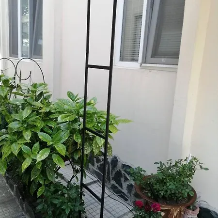 Center And Lejlighed