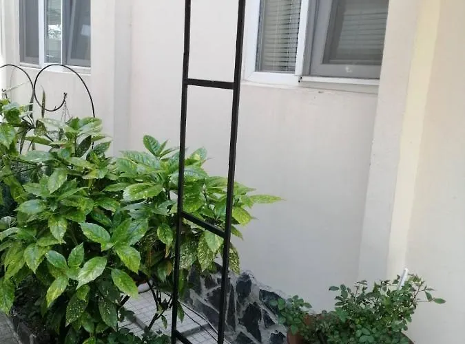 Center And Lejlighed